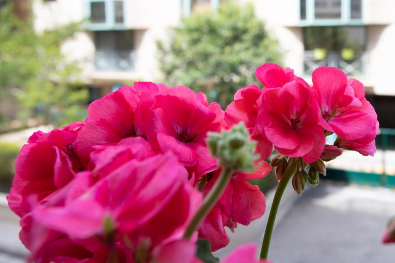 Boutique Apartment La Lavande Free Parking 10 Min Walk 尼斯 外观 照片